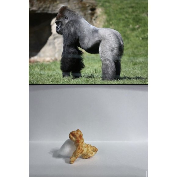 Harambe Shaped Cheeto One of a Kind Rare Collectible American History HTF NOS VG - Picture 2 of 8